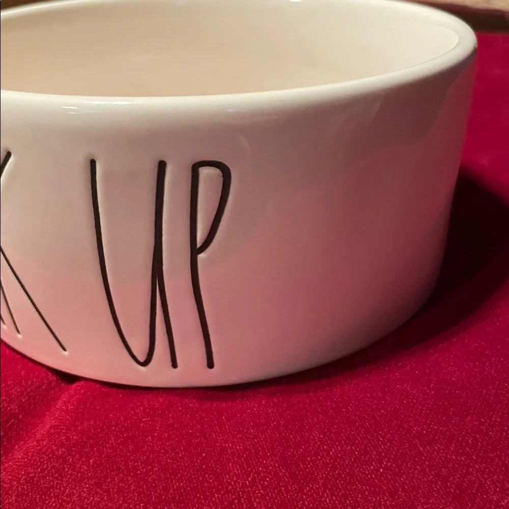 RAE DUNN ARTISAN COLLECTION “DRINK UP” PET BOWL